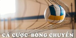 Cá cược bóng chuyền Ku11