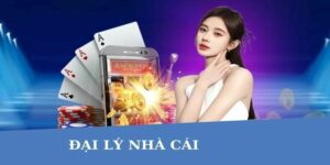 Đại lý Ku11