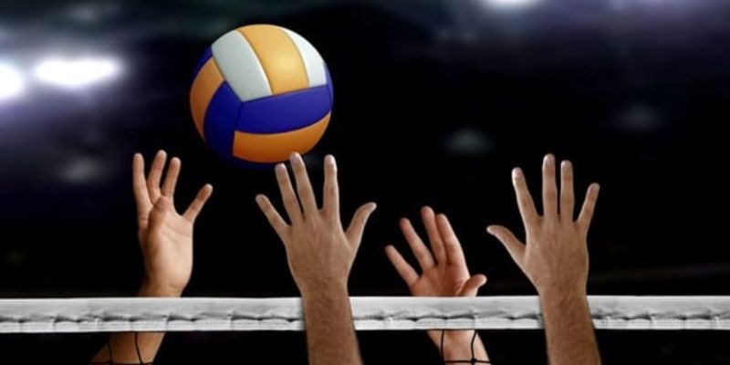 Cá Cược Bóng Chuyền Ku11 – Trải Nghiệm Giải Trí Đỉnh Cao 1 Vì sao nên chọn cá cược bóng chuyền Ku11